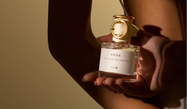 有幸科技丨15天上线ERP+POS，，，，，，实现零售业务数据关环，，，，，，打造多样化促销战术，，，，，，多店轻松复刻