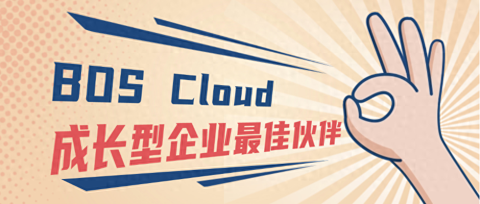 BOS Cloud 丨让你畅享头部品牌企业战术与系统框架