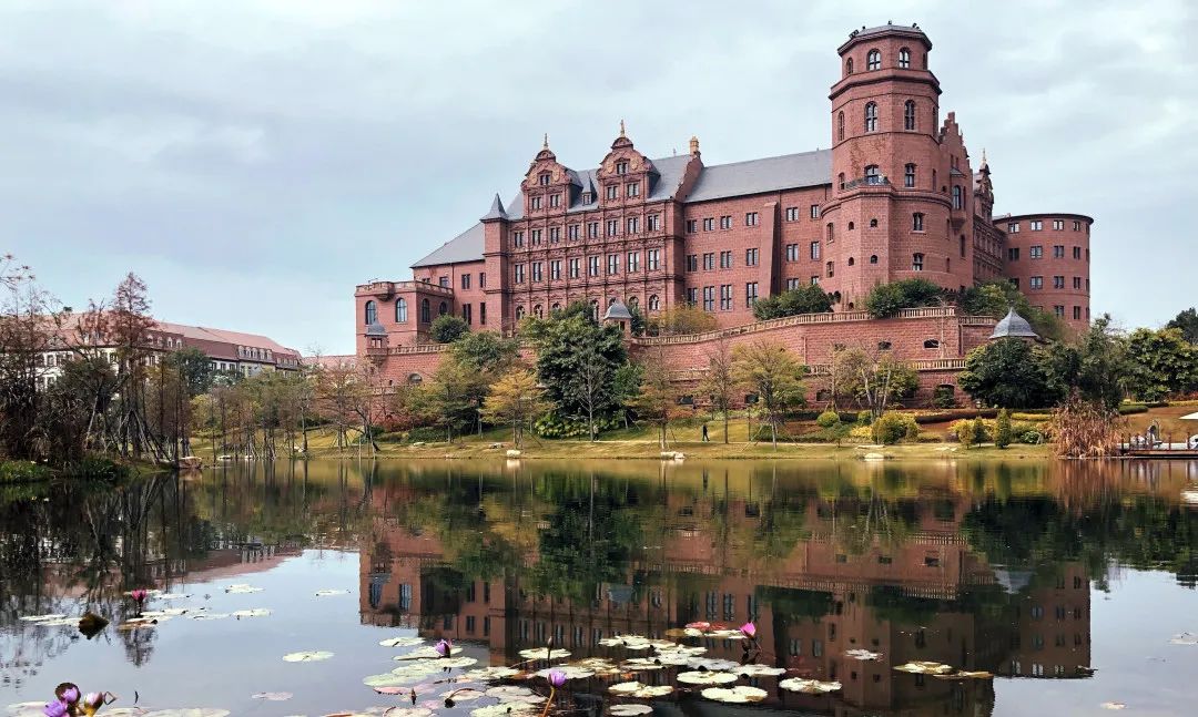 微信图片_20250220105811